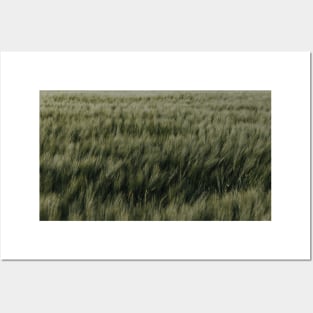 green grass Posters and Art